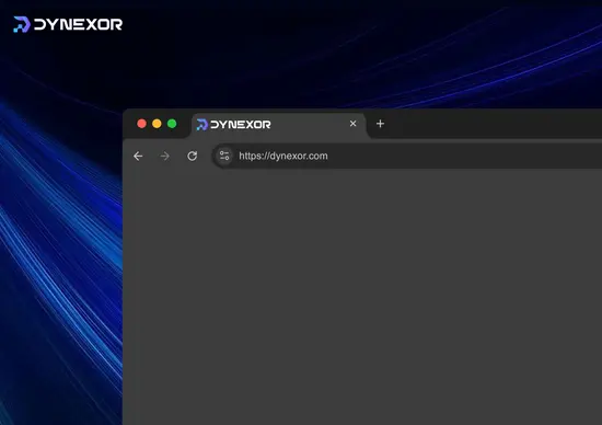 DYNEXOR — Artwork 17